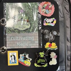 Disney Pin Lot Bundle $90 OBO