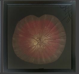 ART | Set of 4 Lotus Flower Wall Art - 18x18