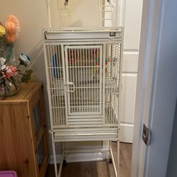 Bird Cage 