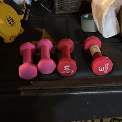 2 & 3 Pound Weights