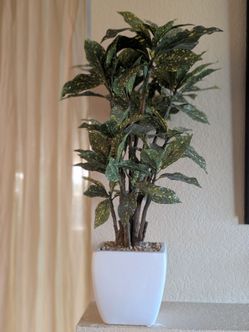 Fake plant