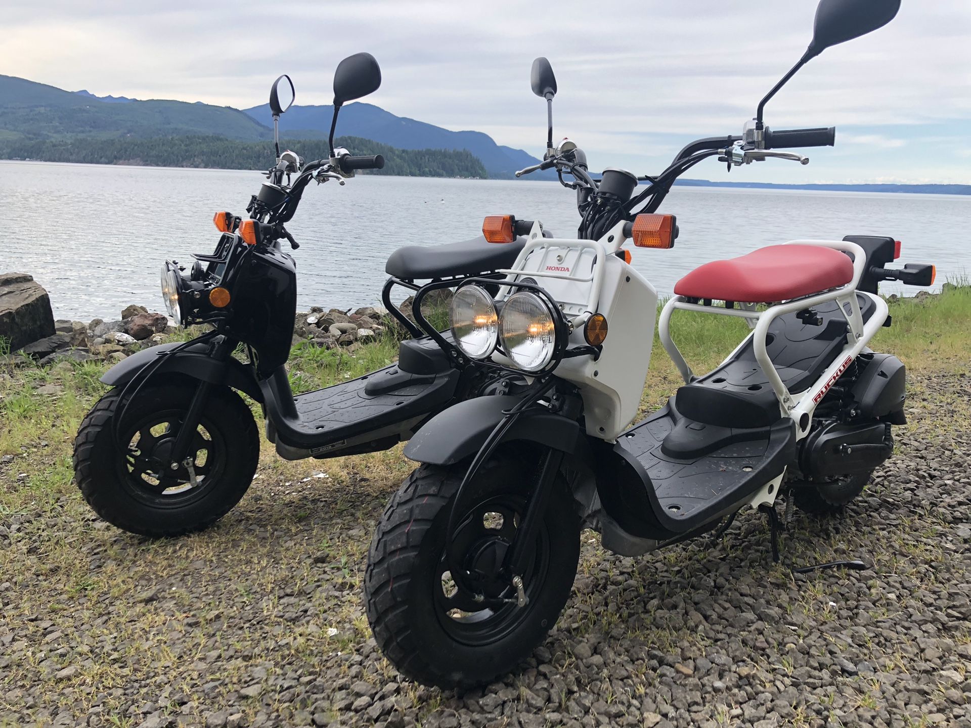 2018 Honda Ruckus. Only 18 and 19 miles ridden off road on road for ...