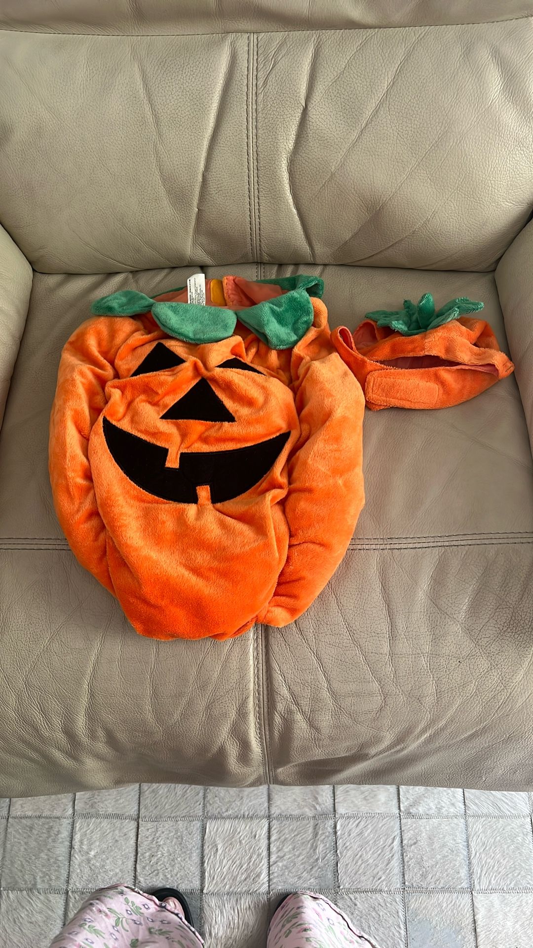 Dog Halloween Costume Pumpkin With Head Piece