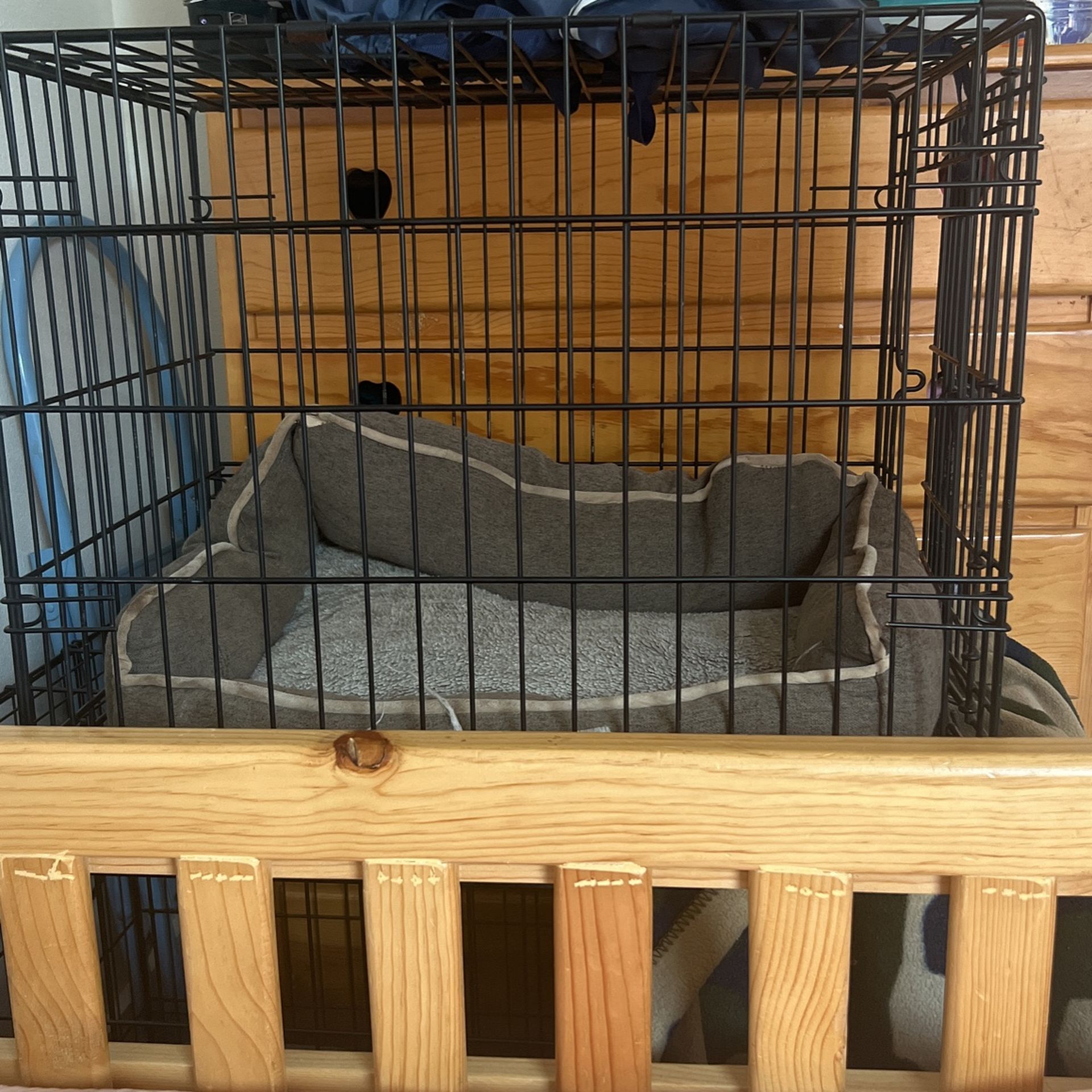Dog House