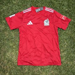 Mexico Jersey Coca-Cola 