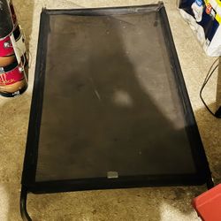 Outdoor Elevated Pet Bed