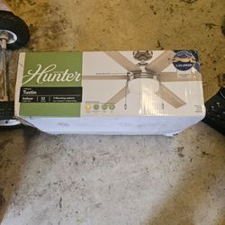Hunter ceiling fan