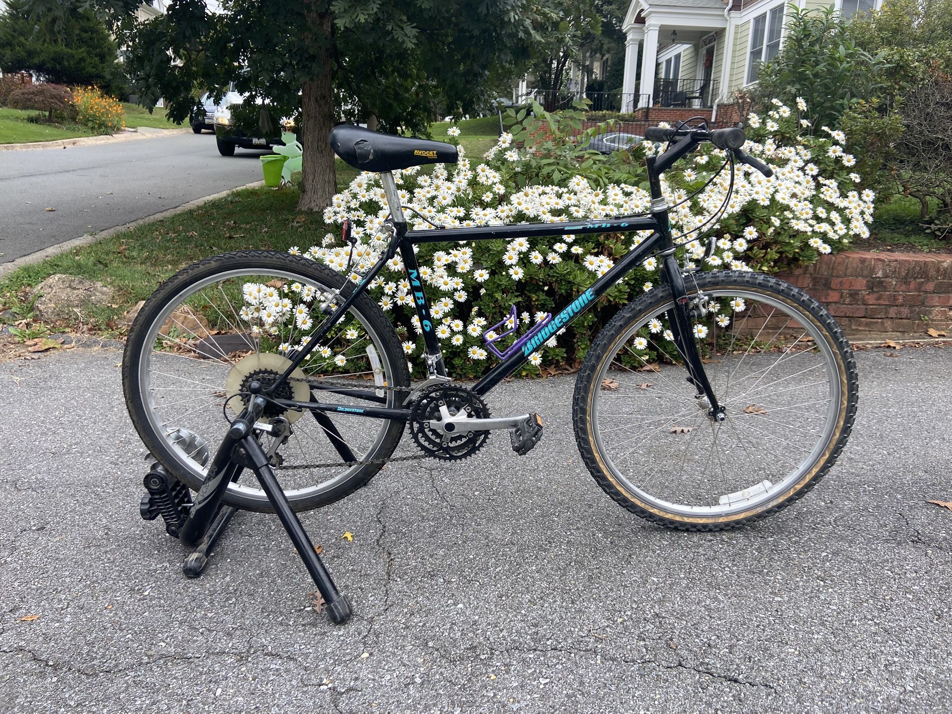 🚴♂️ Vintage Bridgestone MB-3 – Legendary Steel Mountain Bike!
