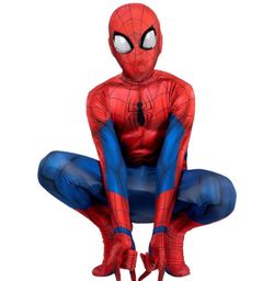 Spiderman costume