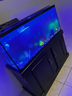 Fish tank