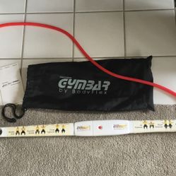 Body Flex Gymbar