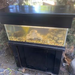20 Gallon Long Fish/Turtle Tank Aquarium