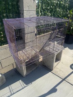 Bird cage