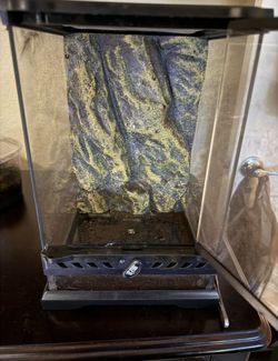 Exo Terra Reptile Tank