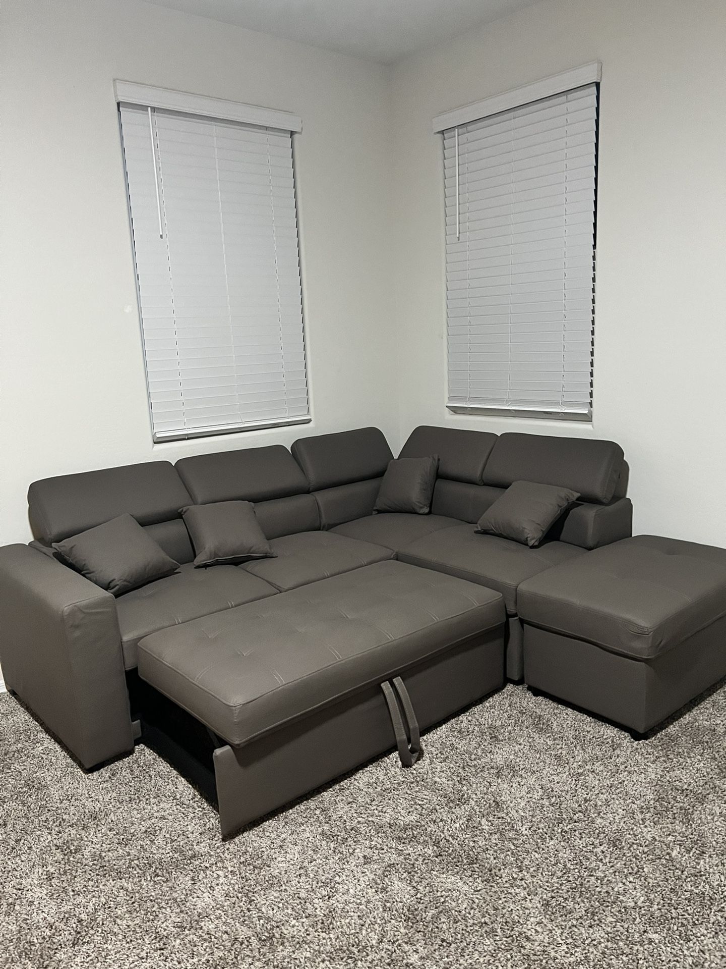 Brand New Couch