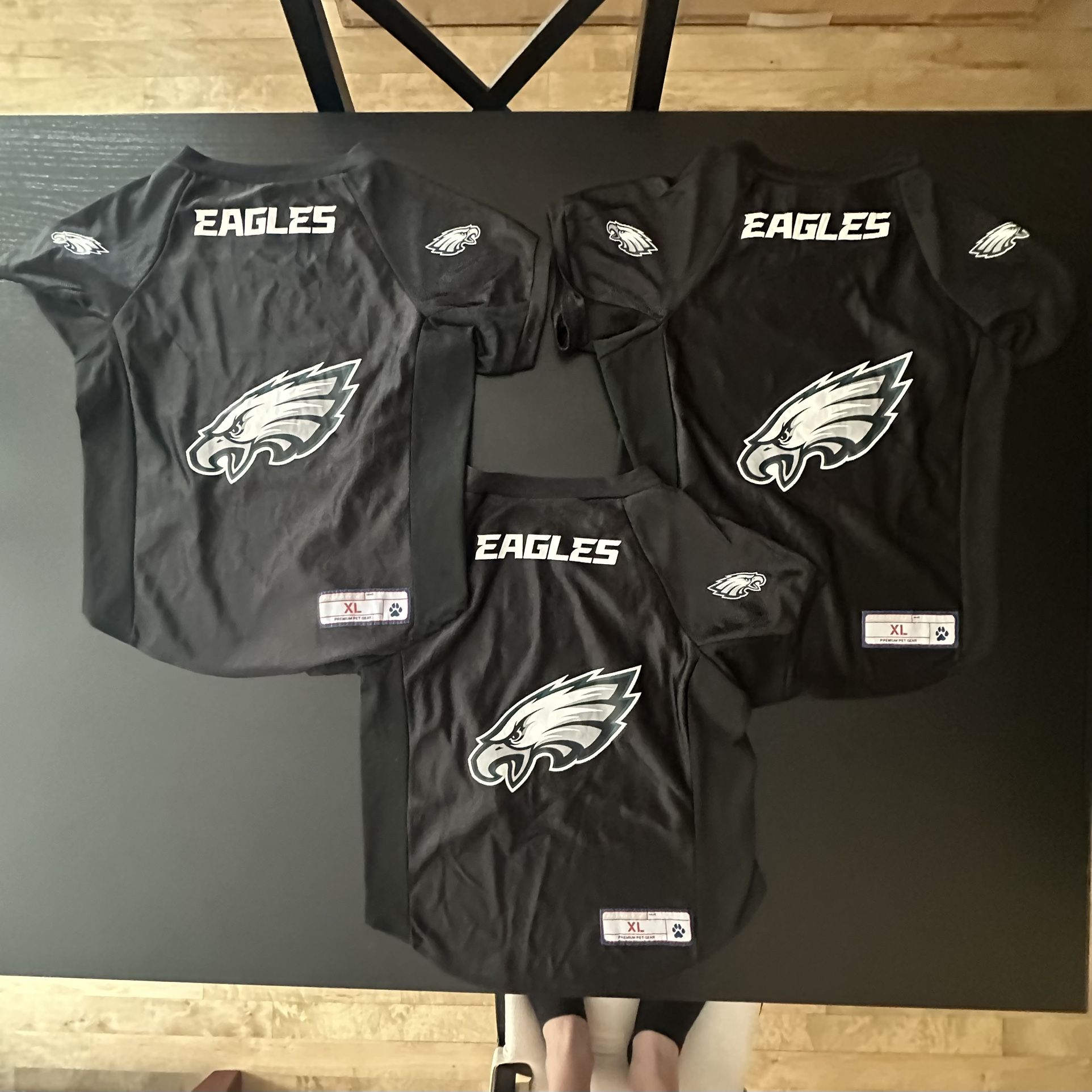 XL Eagles Jerseys For Dogs (3)