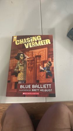 Chasing Vermeer