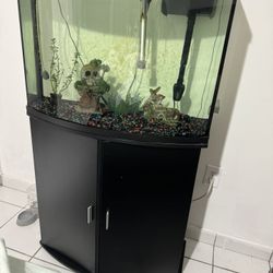 36 Gallon Fish Tank 