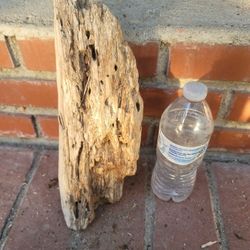 Driftwood