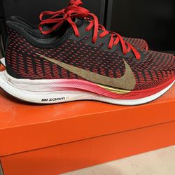 NIKE ZOOM PEGASUS TURBO 2 Running Shoes EXCELLENT CONDITION. AUTHENTIC. (RED GOLD)(Size-W11/M9)