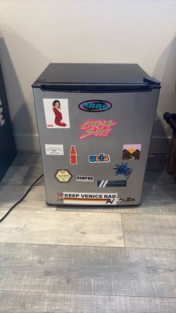 Mini Fridge with Freezer