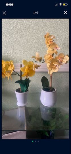 Fake orchids