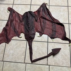Halloween Costume 