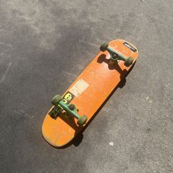 Mini Logo Mini Skateboard