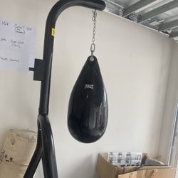 Everlast Punching Bag + Waterbag