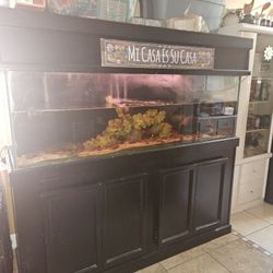 180gl Aquarium 