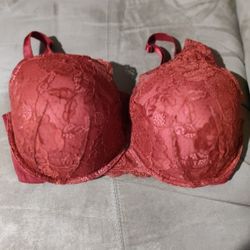 Women's Bra