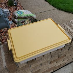Vintage Tupperware Carrier, Like New