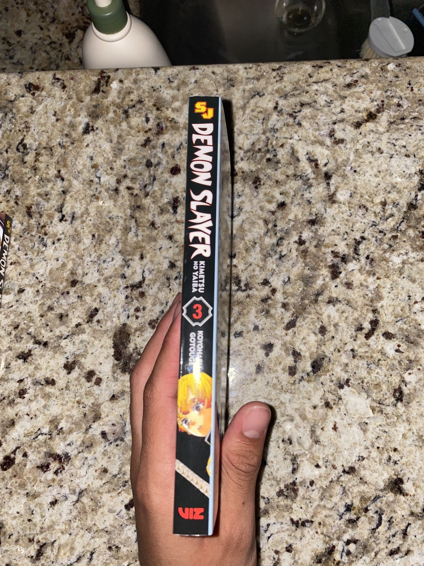 Demon Slayer: Kimetsu no Yaiba, Vol 3