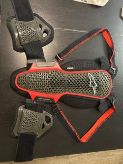 Alpinestars back protection