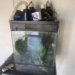 Reptile Tank And Accessories 