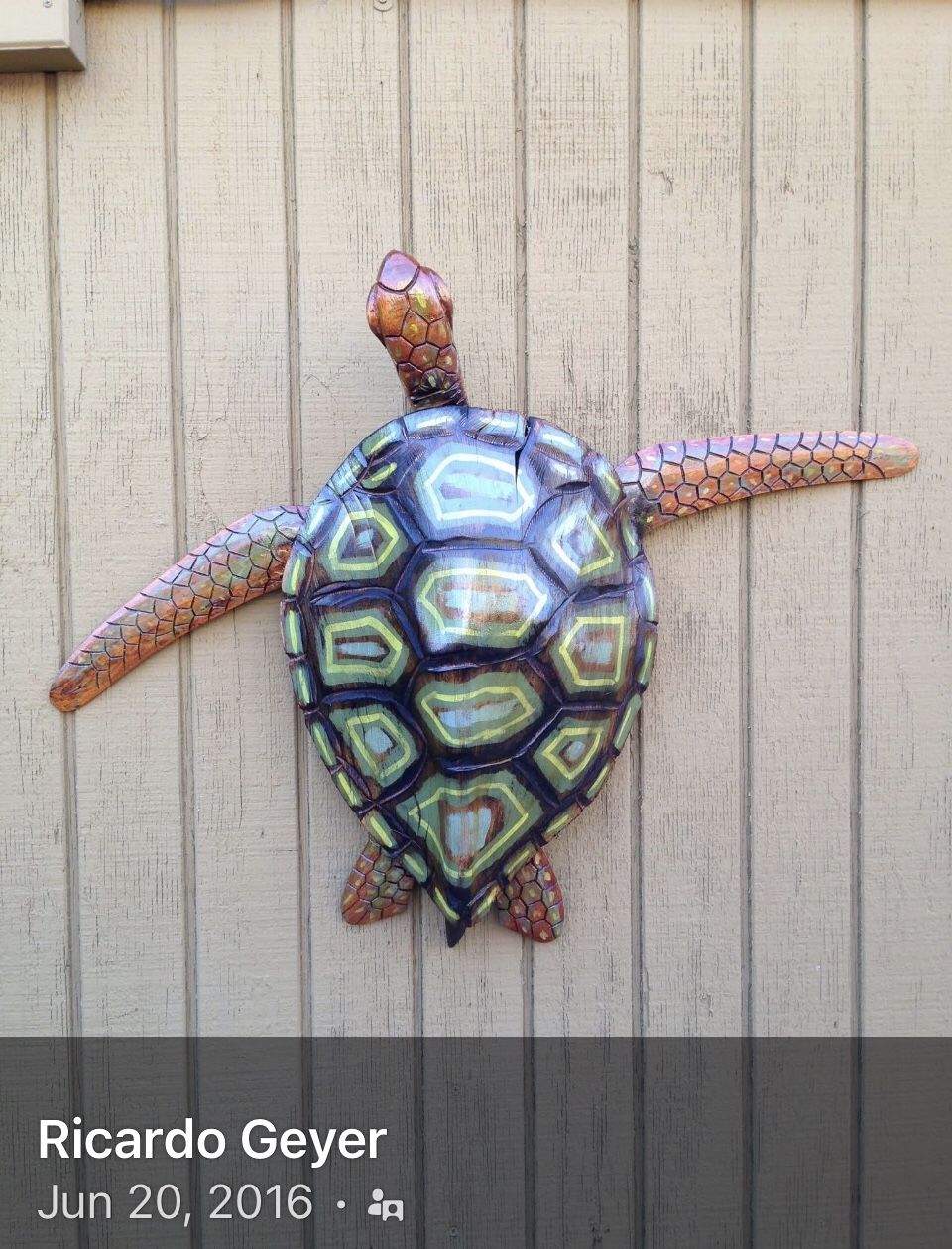 Exotic Hand Carved Turtle
