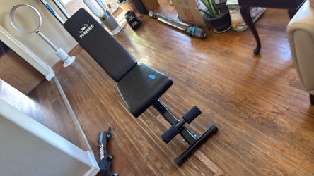 Work Out Bench