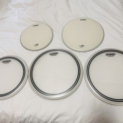 New Drum Heads