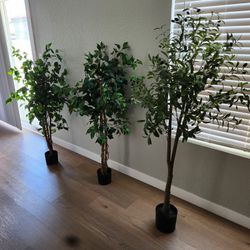 Decor Trees 