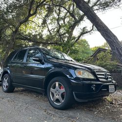 2003 ML55 AMG