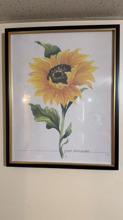 Sunflower Frame 