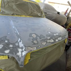 Auto  Parts. Flaked Hood , Primer , Parts 