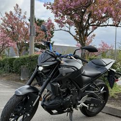 2022 Yamaha MT-03