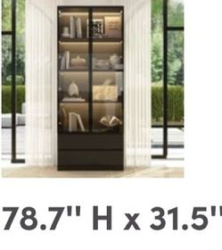 78.7H x 31.5 w cabinet
