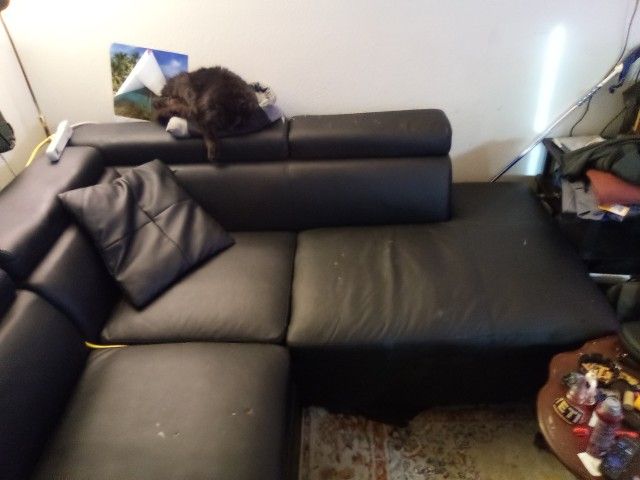 L Shaped Sectional Couch