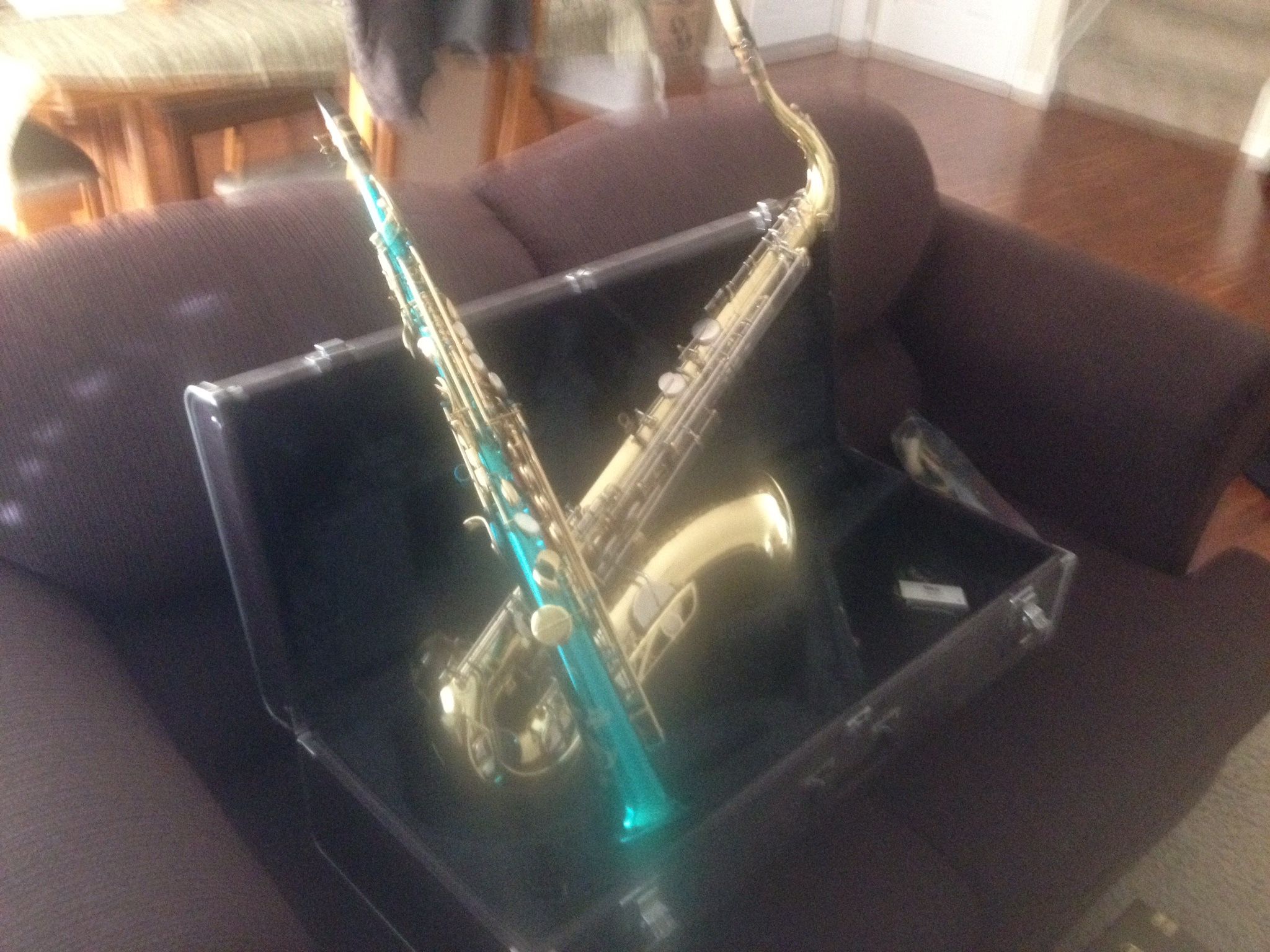Selmer Student Model Alto Saxophone 