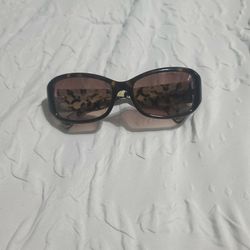 Coach Ladies Sunglasses