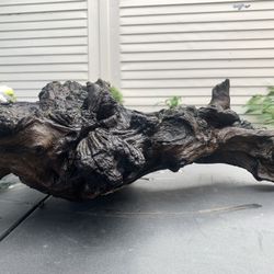 Driftwood Aquarium 