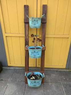 Homemade Living Ladder with Succulents!