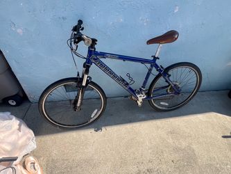 The Cannondale F300 mountain bike